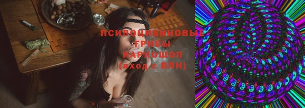 МДПВ Армянск